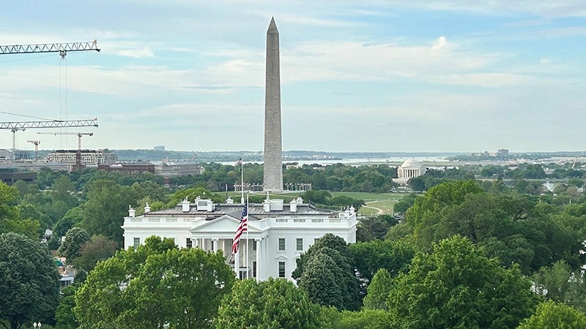 polinas-perspectives-when-washington-burns-and-markets-stay-cool.jpeg