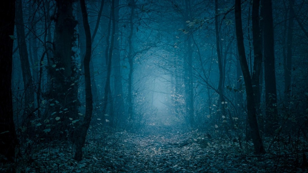 Screenshot 2026-03-02 131429.jpg