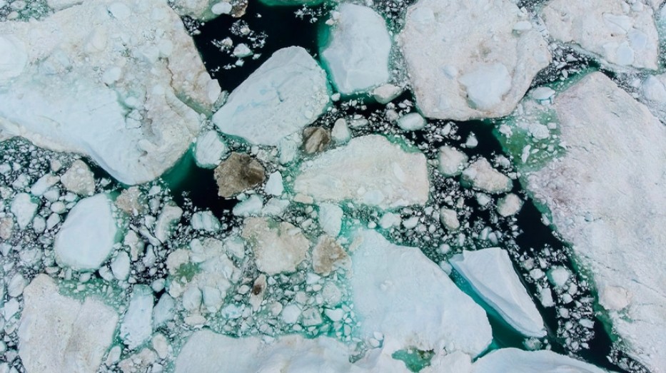 Screenshot 2026-01-13 105459.jpg