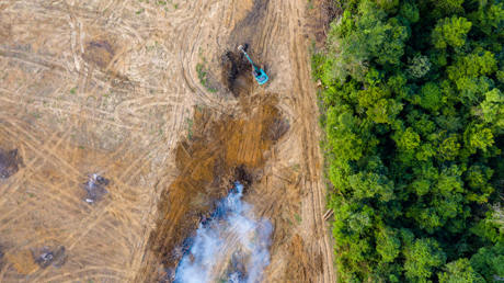 why-investors-are-tackling-deforestation-in-brazil-update-from-investor-policy-diaglogue-on-deforestation.jpg